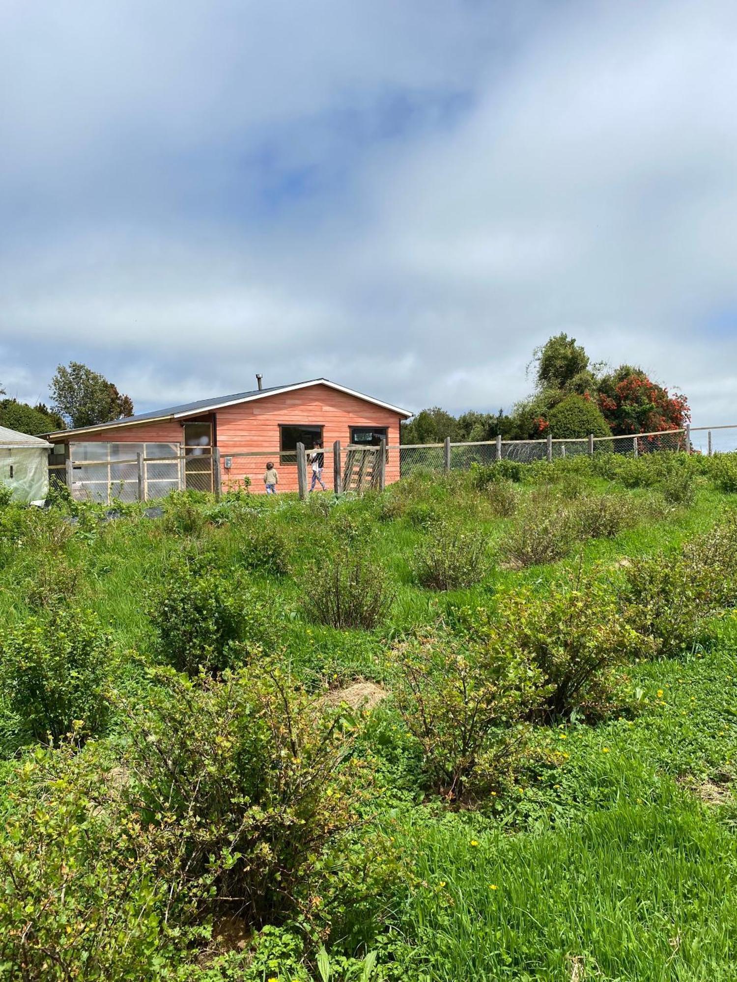 Cabana Nueva En Ancud Chiloe Camera foto