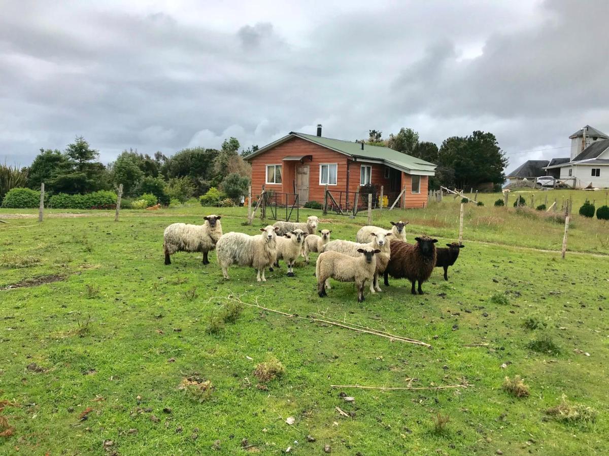 Cabana Nueva En Ancud Chiloe Esterno foto